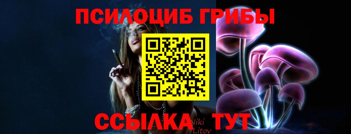 Псилоцибиновые грибы MAGIC MUSHROOMS  Вход с VPN  Красноперекопск  Псилоцибиновые грибы Psilocybine cubensis 